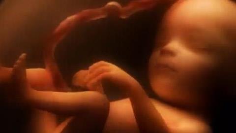 Το θαύμα της ζωής: 9 μήνες εγκυμοσύνης σε ένα 4λεπτο βίντεο!