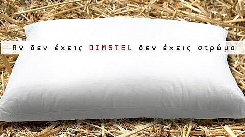 Η Dimstel χρυσός χορηγός στο πρωτοποριακό DO-IT-ECO PROJECT