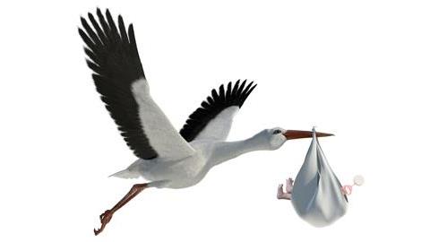 Τεχνητή γονιμοποίηση ή υιοθεσία; Οι απόψεις διχάζονται