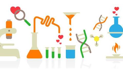 Η επιστήμη αποκαλύπτει τα μυστικά των ευτυχισμένων ζευγαριών