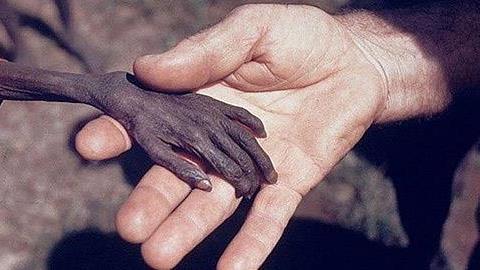 Οι συγκλονιστικότερες φωτογραφίες όλων των εποχών