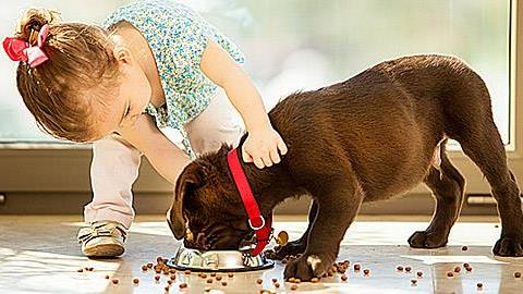 Όσα προσφέρουν τα κατοικίδια στα παιδιά σε 20 υπέροχες φωτογραφίες