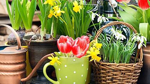 Πρωτότυπες ιδέες στολισμού με ανοιξιάτικα λουλούδια