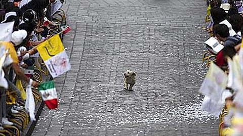 16 φωτογραφίες που θα σας φτιάξουν τη μέρα!