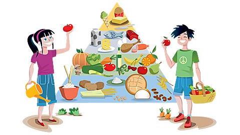 Οι 5 ομάδες τροφών που χρειάζονται τα παιδιά καθημερινά!