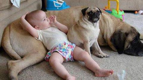 Μωρά μαζί με τα αγαπημένα τους σκυλάκια: Τόση γλύκα δεν έχετε ξαναδεί!