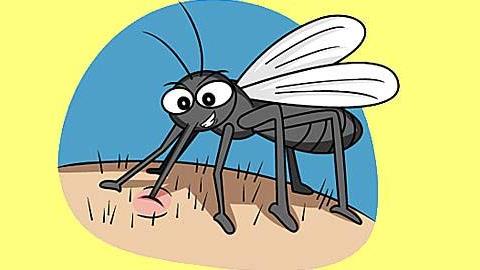 Φυσικά γιατρικά για το τσίμπημα των κουνουπιών