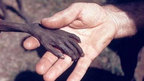 Ιστορικές φωτογραφίες που ραγίζουν την καρδιά 