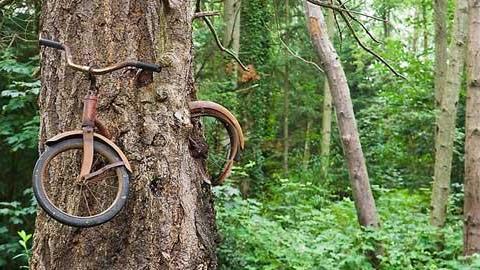 Η δύναμη της φύσης: 19 φωτογραφίες που συγκλονίζουν