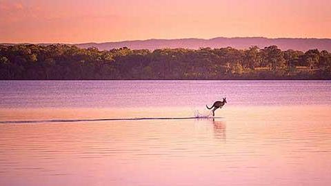 Οι καλύτερες φωτογραφίες της χρονιάς από το National Geographic