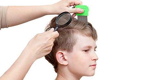 Ψείρες στο κεφάλι του παιδιού: Έλεγχος και αντιμετωπίση