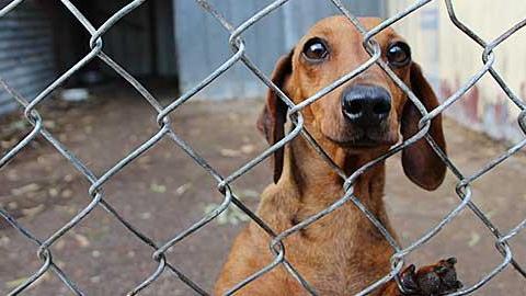 Πώς να πείτε 