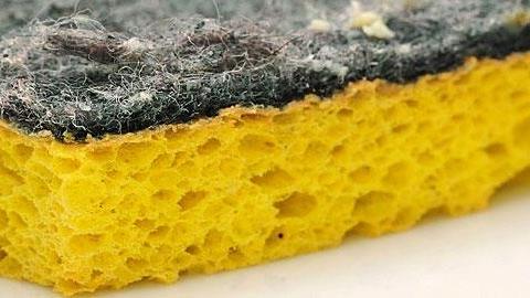 Επικίνδυνα σφουγγάρια: Πώς να τα απολυμαίνετε σωστά