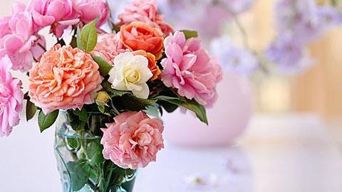 Πώς να στολίσετε όμορφα το σπίτι με λουλούδια