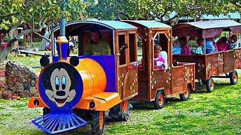 5 τέλεια πάρκα στην Αττική με εκπαιδευτικά προγράμματα για παιδιά