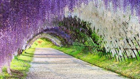 Ταξίδια ζωής: 15 μέρη που πρέπει να δείτε όσο ζείτε!