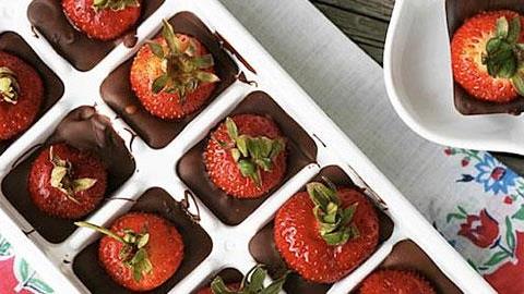 9 πρωτότυποι τρόποι για να χρησιμοποιείτε τις παγοθήκες!