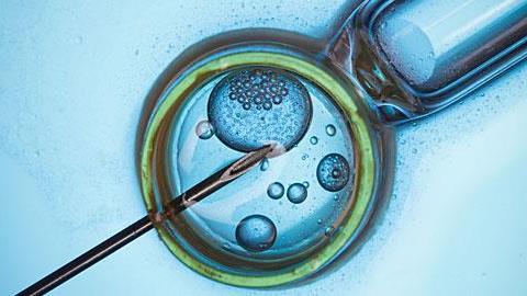 Δείτε στο βίντεο πώς γίνεται η εξωσωματική γονιμοποίηση