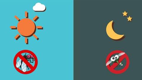 Πώς να απαλλαγείτε από μύγες και κουνούπια με φυσικό τρόπο