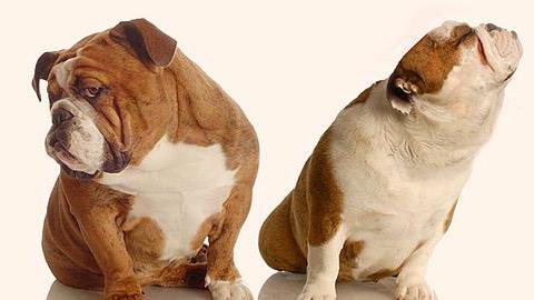 10 πράγματα που μισούν οι γυναίκες στους άντρες