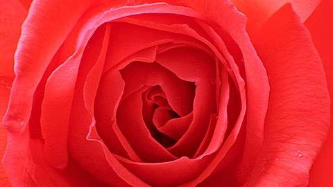 8 πληροφορίες που σίγουρα δεν ξέρατε για... την κλειτορίδα!