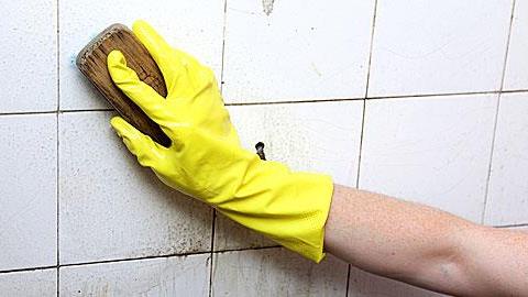 Πώς η μούχλα στο σπίτι απειλεί την υγεία μας