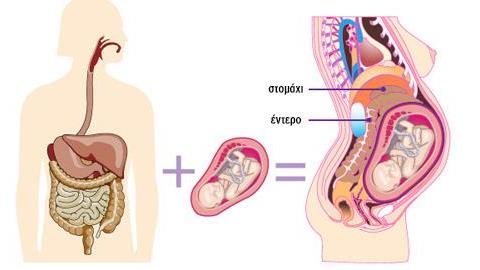 Α΄και Β΄τρίμηνο εγκυμοσύνης: Όλα όσα συμβαίνουν στο σώμα σας