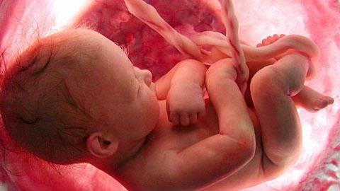 Τι κάνουν τα μωρά μέσα στην κοιλιά της μαμάς τους