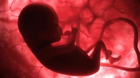 9 μήνες σε 4 λεπτά: Ένα πολύ δυνατό βίντεο για το θαύμα της ζωής