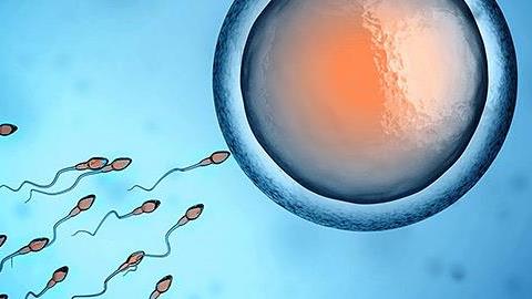 Έχω κάνει 10 εξωσωματικές και είμαι 45 ετών. Έχω ελπίδες;