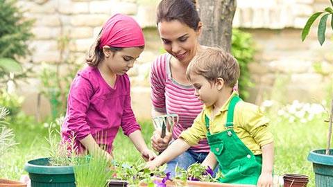 Κερδίστε απίθανα είδη κήπου από την Praktiker!
