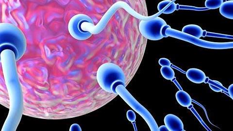 Σύλληψη πραγματοποιείται μόνο στις γόνιμες μέρες;