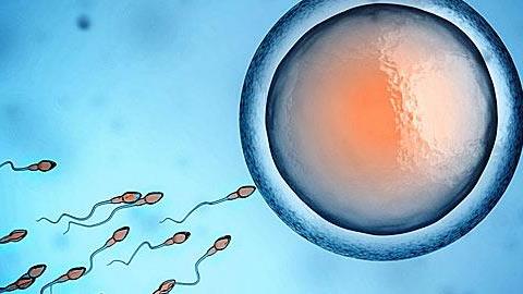 Μπορώ να μείνω έγκυος στην 7η μέρα του κύκλου;