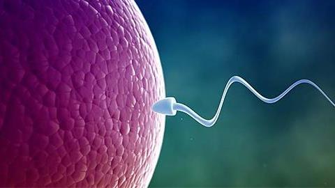 Μπορεί να γίνει σύλληψη κατά τη διάρκεια της περιόδου;