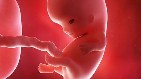 Γεννήθηκε μωρό από τρεις γονείς!