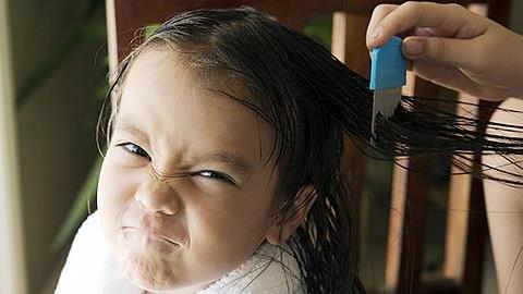 Ψείρες, αυτή η μάστιγα: Πρόληψη, έλεγχος και αντιμετώπιση