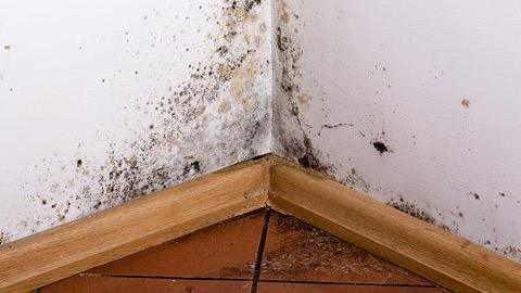 Πώς να απαλλαχτώ από την υγρασία στο σπίτι