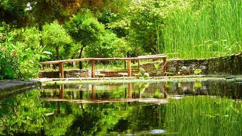 5 περίπατοι στη φύση που μπορείτε να κάνετε με τα παιδιά