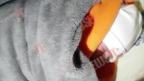 Εικόνες ντροπής: Προσφυγάκι 12 ημερών κοιμάται σε βρεγμένη σκηνή στη Μαλακάσα