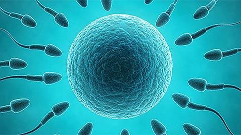 Είναι επικίνδυνο να χρησιμοποιήσω δανεικά ωάρια ενώ είμαι στην εμμηνόπαυση;