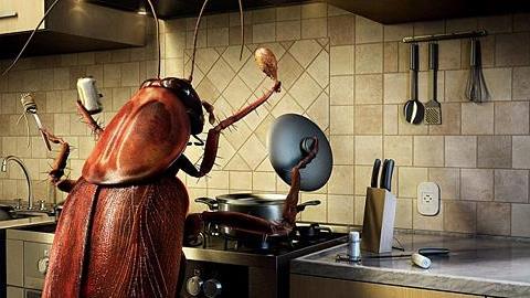 Πώς θα προστατεύσουμε τα παιδιά από τις δικές μας φοβίες