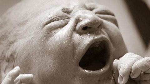 Το νεογέννητο που βγαίνει από τον αμνιακό σάκο είναι ό,τι πιο εντυπωσιακό θα δείτε σήμερα!