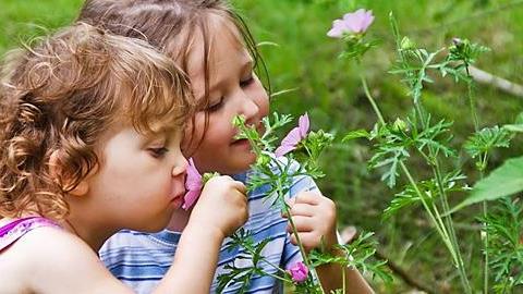 Τι να κάνετε το τριήμερο του Αγίου Πνεύματος με τα παιδιά: Οι πιο διασκεδαστικές βόλτες 