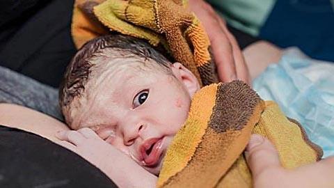 Το θαύμα της ζωής μέσα από 12 μοναδικές φωτογραφίες