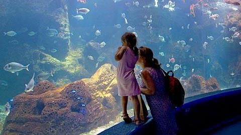 7 ενυδρεία και θαλάσσια πάρκα στην Ελλάδα που πρέπει να επισκεφθείτε με το παιδί