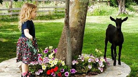 5 φάρμες για να έρθουν τα παιδιά πιο κοντά στη φύση