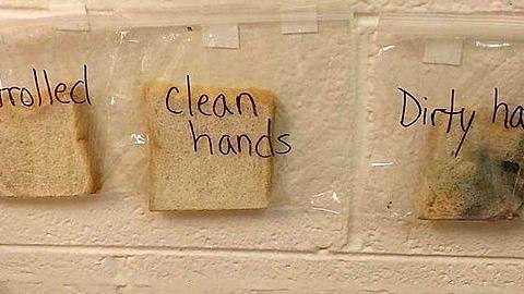 Το πείραμα αυτής της δασκάλας θα πείσει κάθε παιδί να πλένει τα χέρια του πριν το φαγητό!