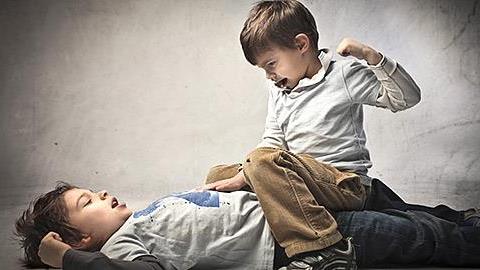 Πώς να πείσω την αδελφή μου ότι χρειάζεται να συμβουλευτεί ειδικό για την επιθετική συμπεριφορά του ανιψιού μου;