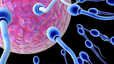 Μέχρι ποια ηλικία μπορεί ένα ζευγάρι να τεκνοποιήσει;