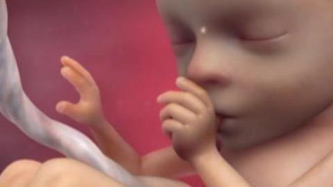 Πώς διαμορφώνεται το φύλο του μωρού στη μήτρα σε ένα συγκλονιστικό βίντεο